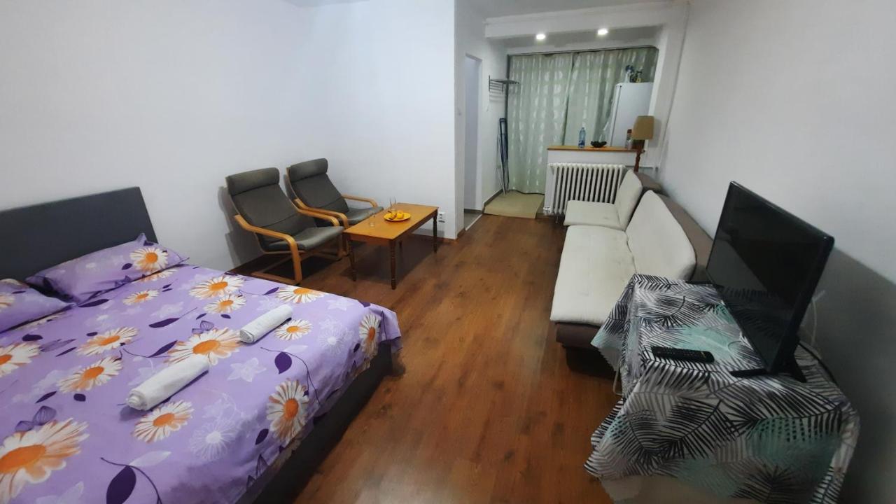 Lovely 1 Bedroom Apartment With Free Street Parking ブカレスト エクステリア 写真