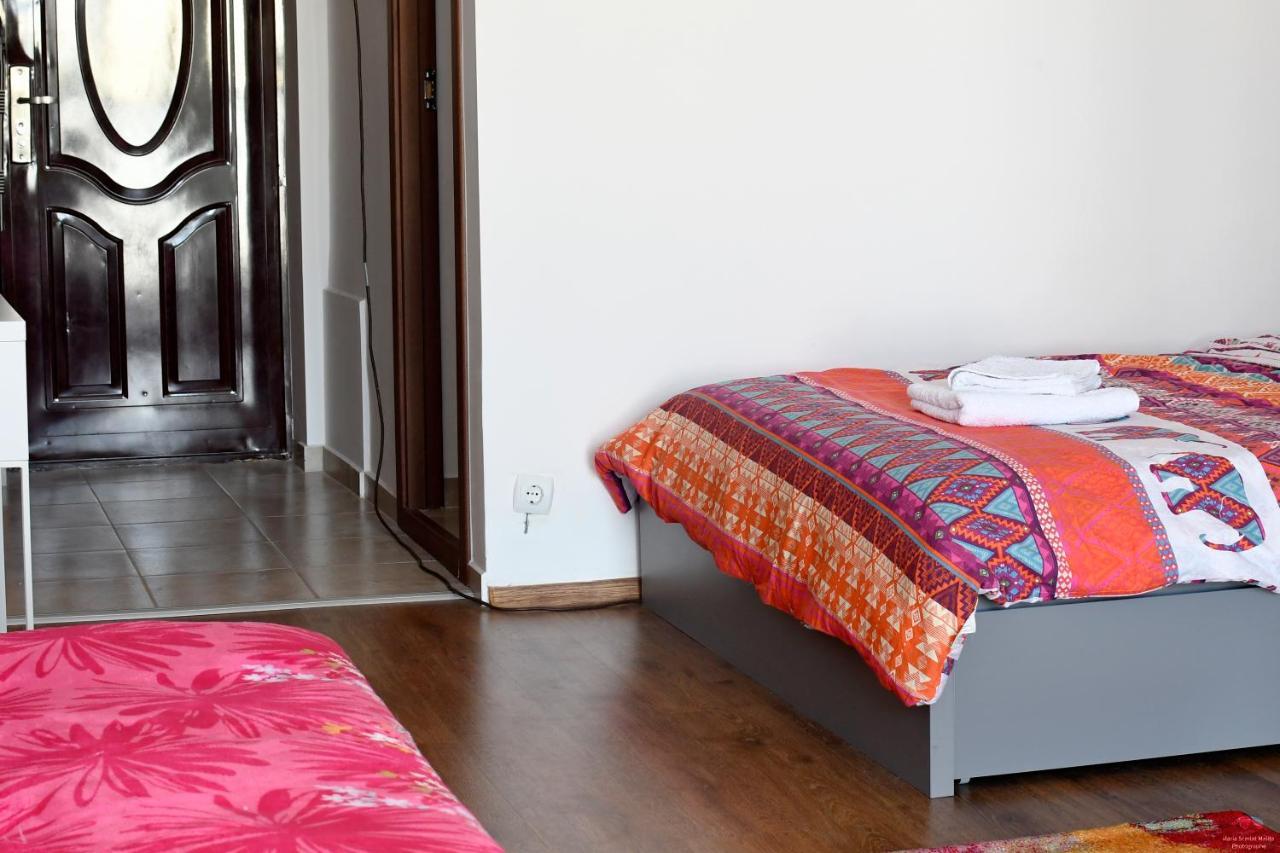 Lovely 1 Bedroom Apartment With Free Street Parking ブカレスト エクステリア 写真